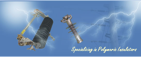 Specializing in Polymeric Insulators